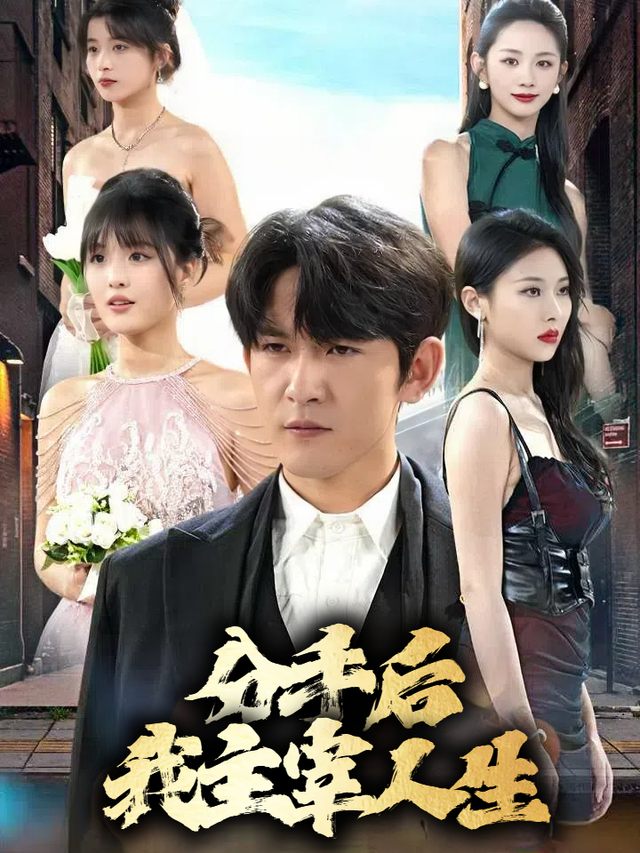 分手后我主宰人生封面
