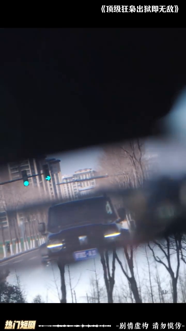 顶级狂枭出狱即无敌封面