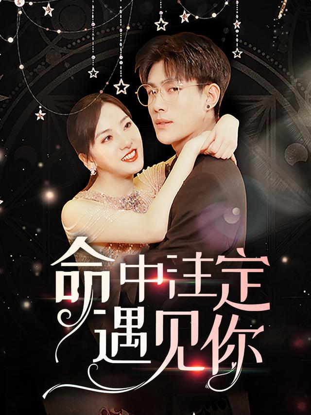 命中注定要遇见你封面