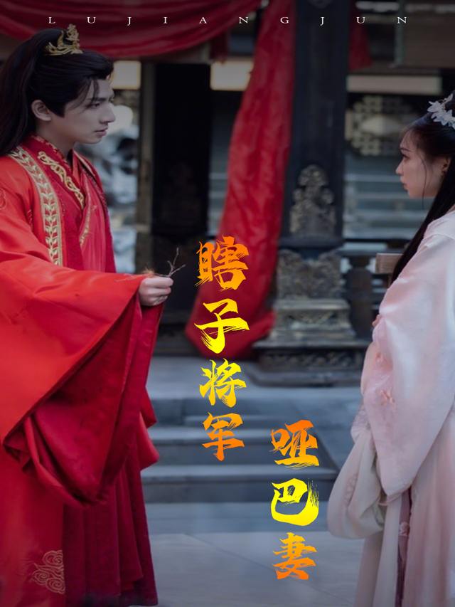 瞎子将军哑巴妻封面