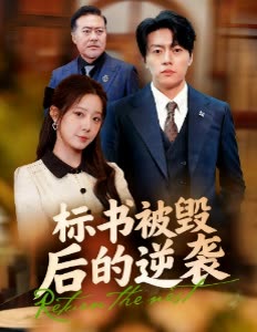 标书被毁后的逆袭封面