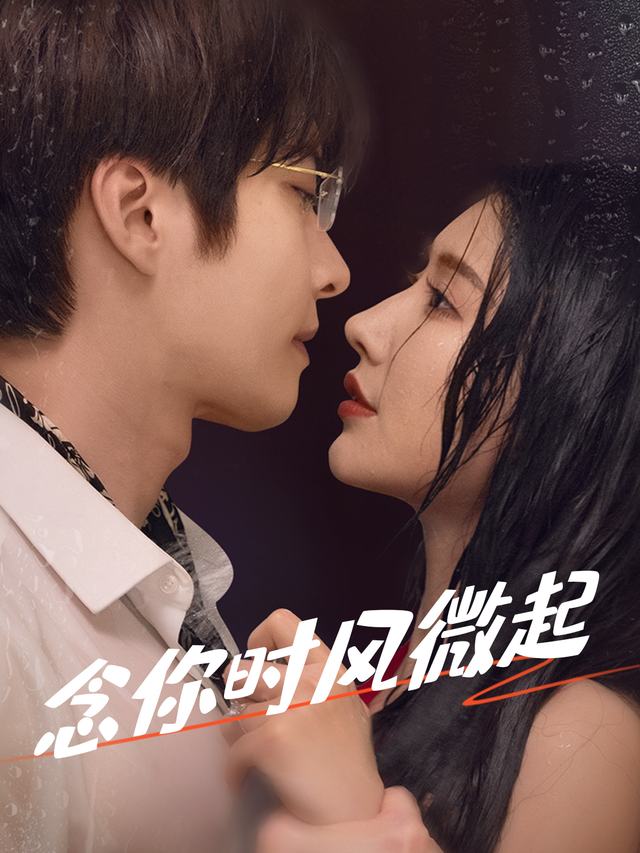 念你时风微起封面