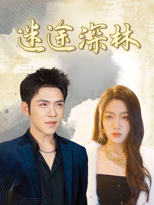 迷途深林封面