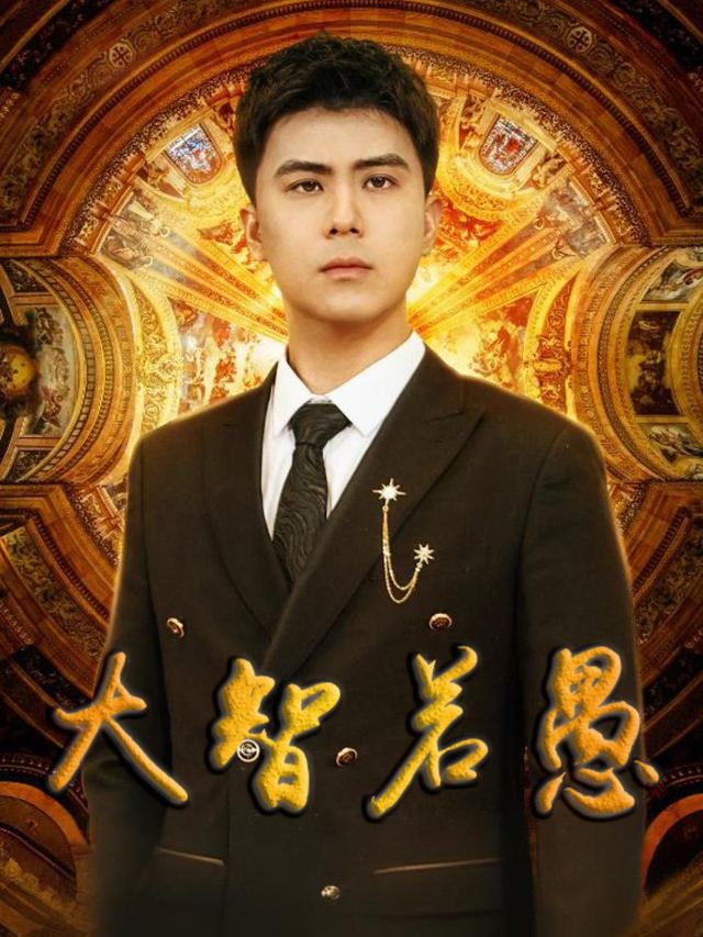 大智若愚封面