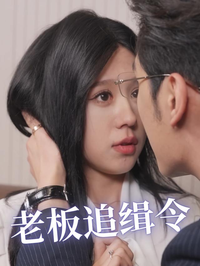 老板追缉令封面