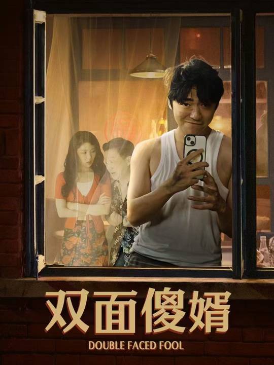 双面傻婿封面