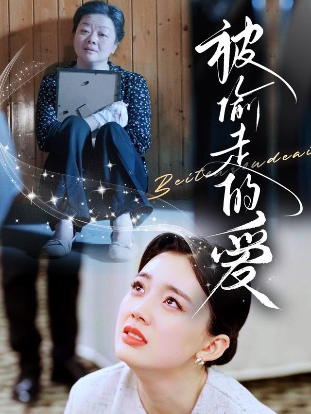 被偷走的爱封面
