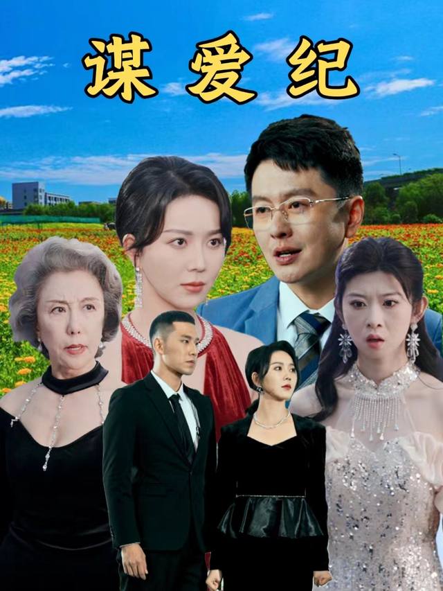 谋爱纪封面