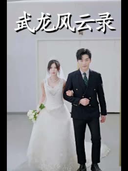 武龙风云录封面