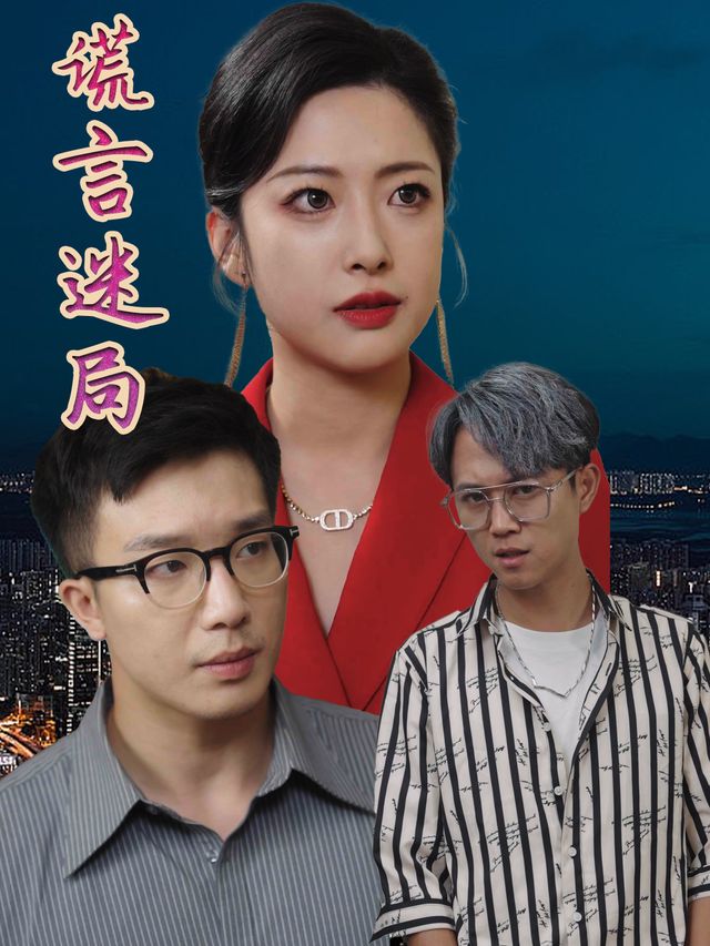 谎言迷局封面