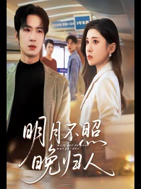 明月不照晚归人封面