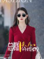 总裁夫人的婚姻封面