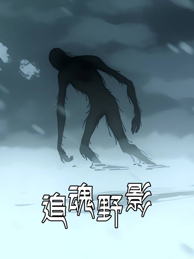 追魂野影封面