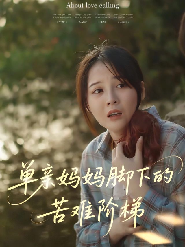 单亲妈妈脚下的苦难阶梯封面