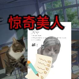 惊奇美人封面