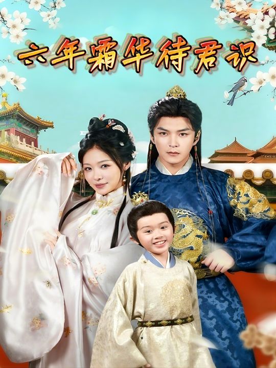 六年霜华待君识封面