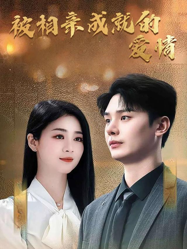 被相亲成就的爱情封面
