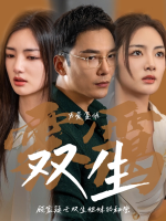 双生雾霭封面