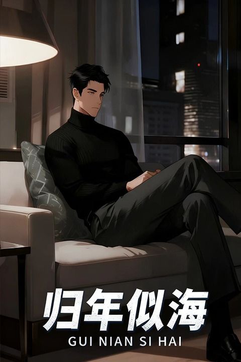 归年似海封面
