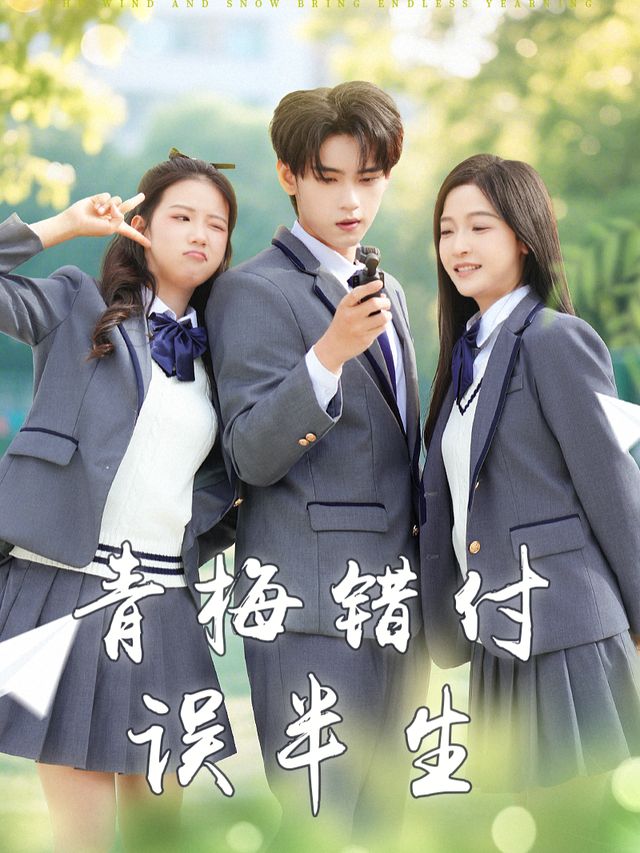青梅错付误半生封面