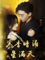 寒香暗涌星满天封面
