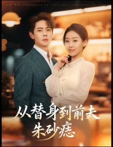 从替身到前夫朱砂痣封面