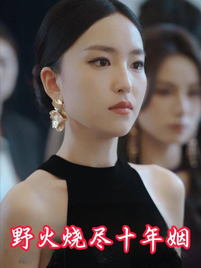野火烧尽十年姻封面