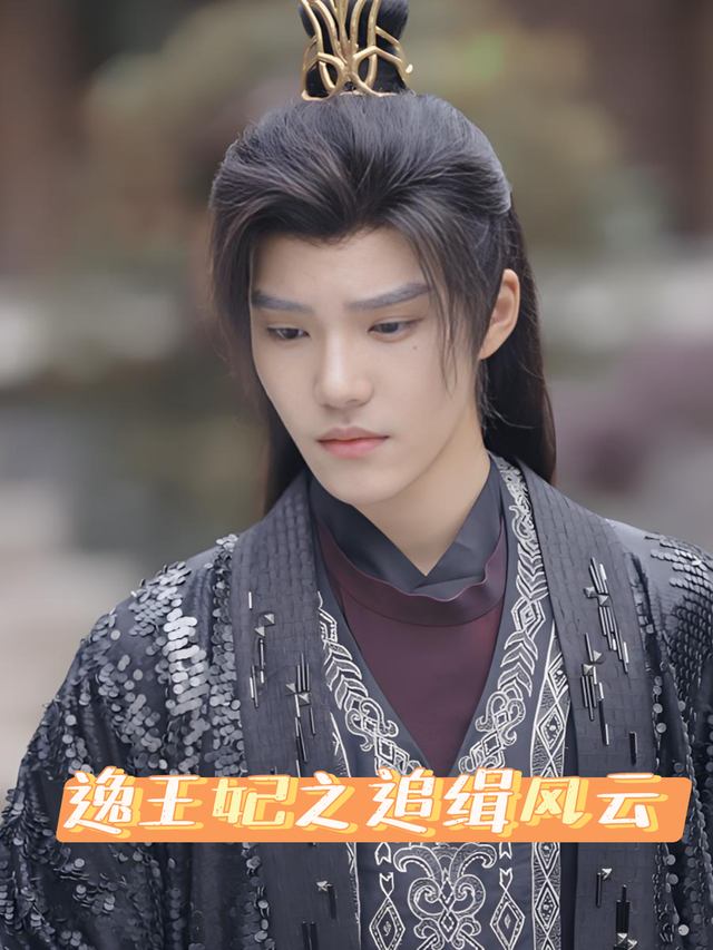 逸王妃之追缉风云封面