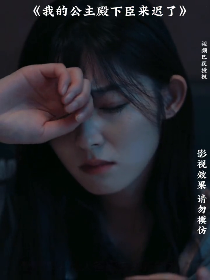 我的公主殿下臣来迟了封面