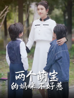 两个萌宝的妈咪不好惹封面
