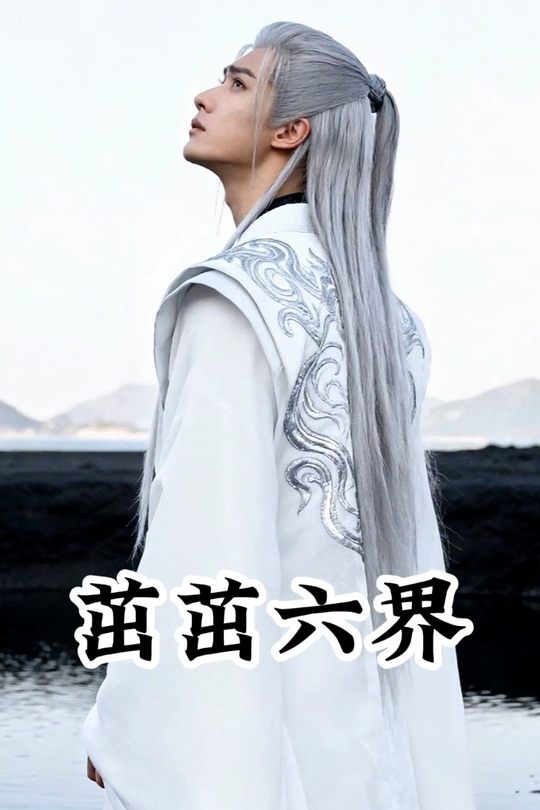 茁茁六界封面