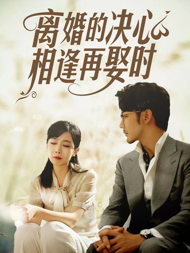 离婚的决心:相逢再娶时封面