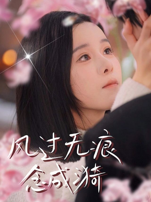 风过无痕念成漪封面