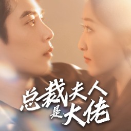 了不起的叶夫人封面