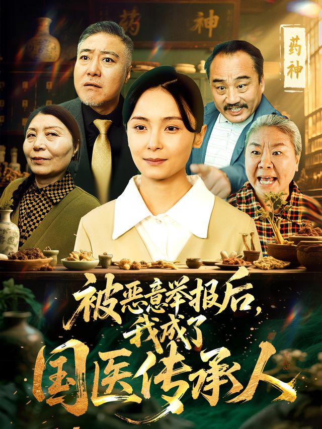 被恶意举报后,我成了国医传承人封面