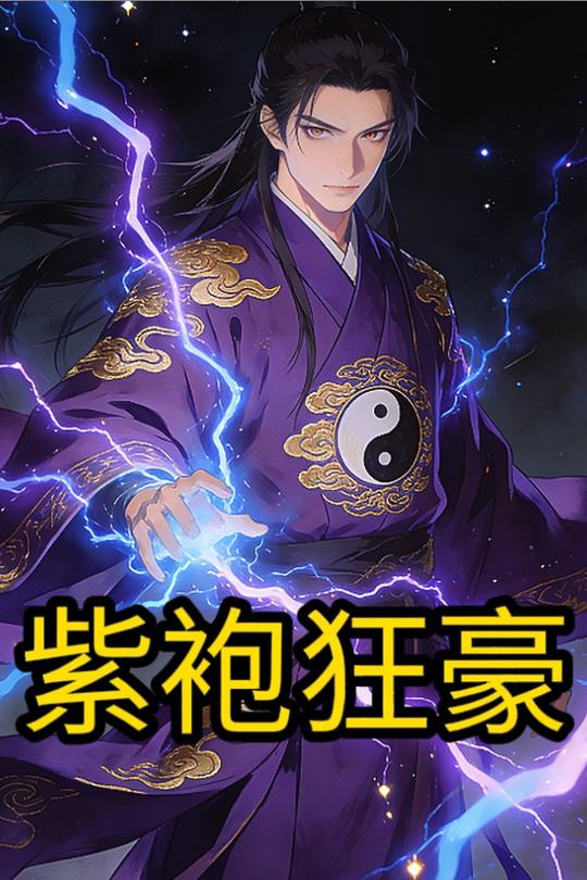 紫袍狂豪封面
