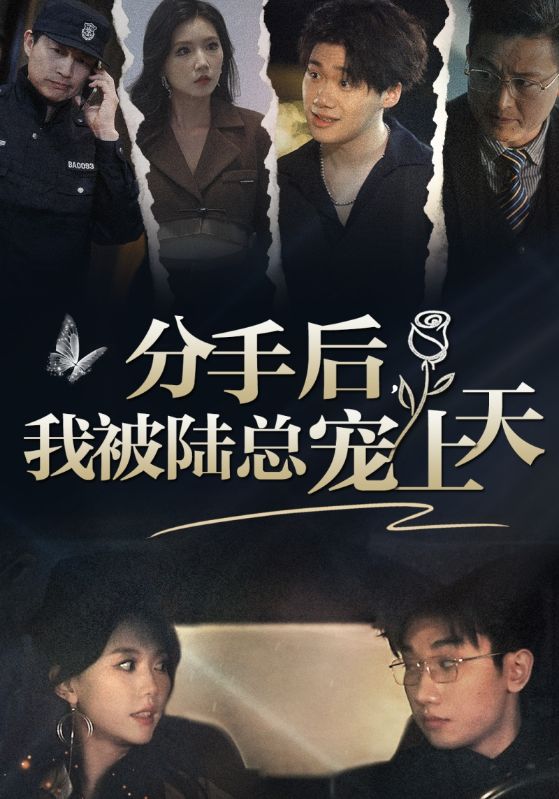 分手后,我被陆总宠上天封面