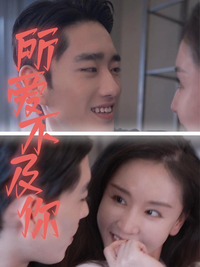 所爱不及你封面