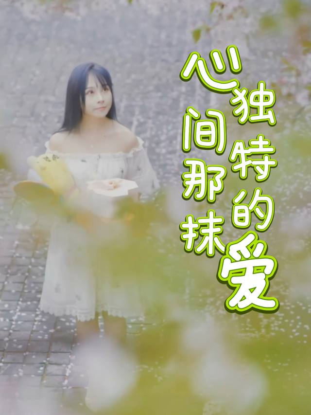 心间那抹独特的爱封面
