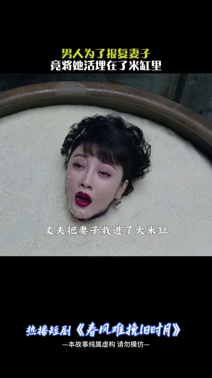 春风难挽旧时月封面