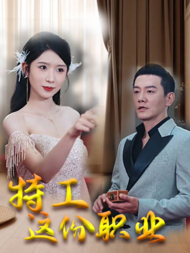 特工这份职业封面