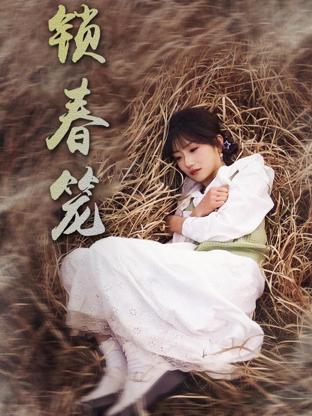锁春笼封面