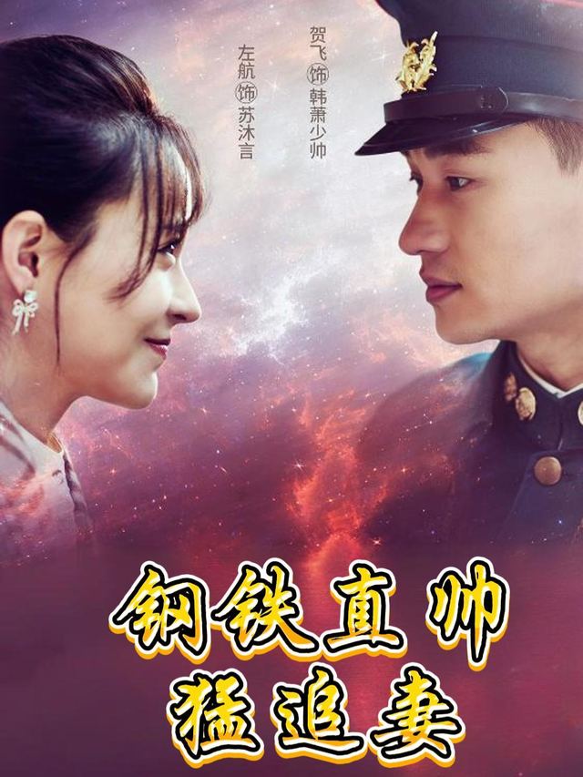 钢铁直帅猛追妻封面