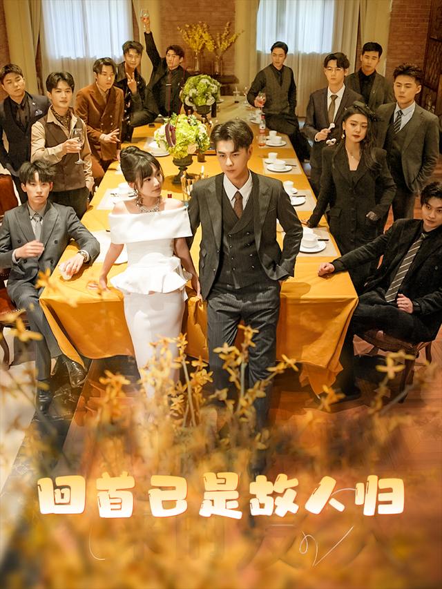 回首已是故人归封面