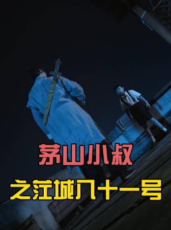 茅山小叔之茳城八十一号封面