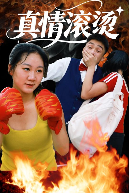 真情滚烫封面