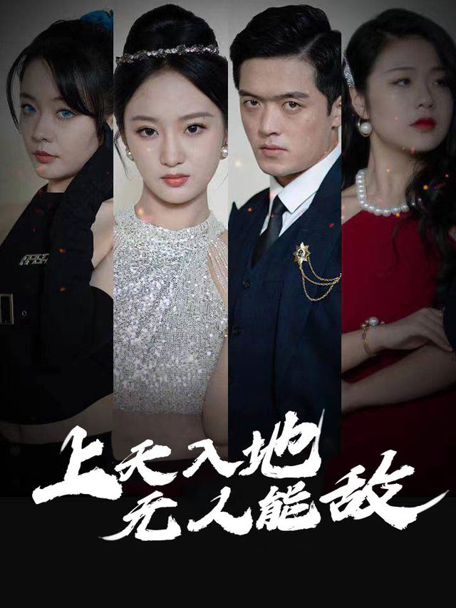 上天入地无人能敌封面