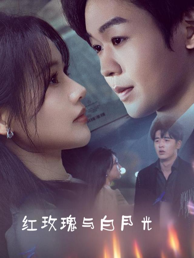 红玫瑰与白月光封面