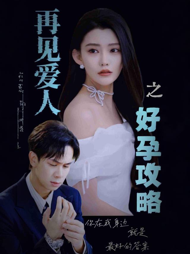 再见爱人之好孕攻略封面