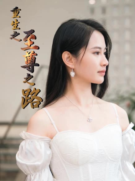 重生之至尊之路封面